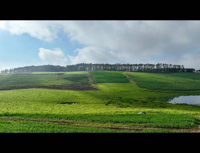 LAND FOR SALE IN MOUNT VERDE